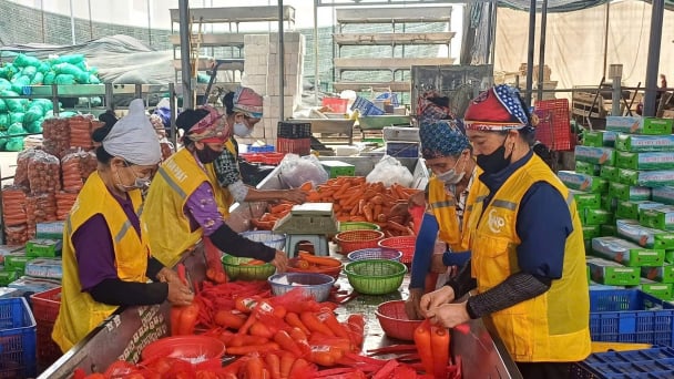 Hai Phong to remove bottlenecks for agricultural exports